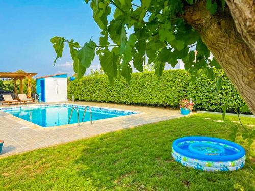 un frisbee bleu posé sur l'herbe à côté d'une piscine dans l'établissement Villa Rotiana, à Pólis Chrysochoús