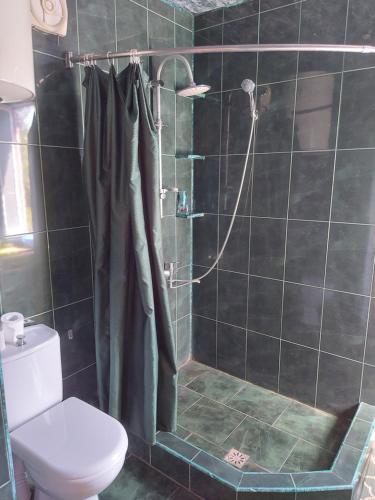 La salle de bains est pourvue d'une douche et de toilettes. dans l'établissement Ilikos Home, à Grigoleti