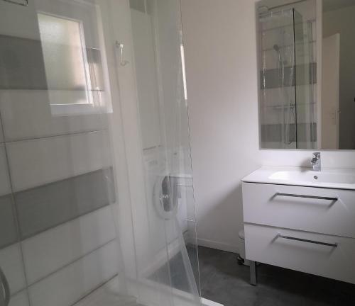 a white bathroom with a shower and a sink at Hébergement canal in Villeder