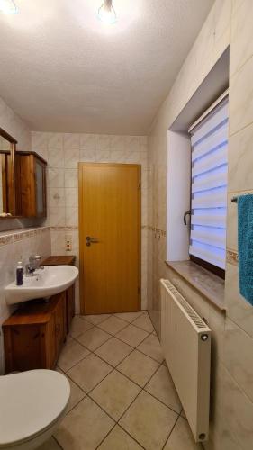 a bathroom with a sink and a wooden door at Wolfsgrund 14 in Dorfchemnitz