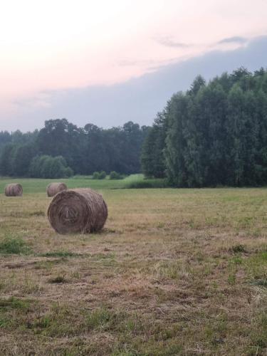a group of hay bales in a field at Your Genius Camp - miejsce na Twój namiot in Komorów