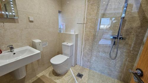 a bathroom with a shower and a toilet and a sink at Trippett Cottage in Saint Breward