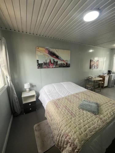 a bedroom with a bed and a table with a lamp at Residencial Oasis Container in Calama