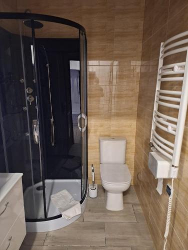 a bathroom with a toilet and a shower and a sink at Comfort Stay, EV, Parking in Bolesławiec