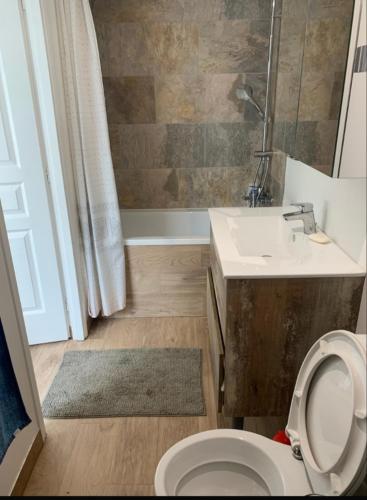 une salle de bain avec toilettes, lavabo et douche dans l'établissement HOME BRUNO, à Triel-sur-Seine