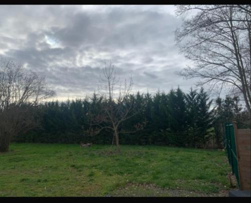 uma árvore no meio de um campo com uma cerca em HOME BRUNO em Triel-sur-Seine