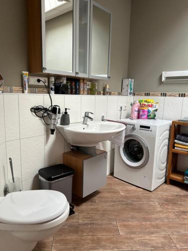 a bathroom with a sink and a washing machine at Apartment Roth in Roth