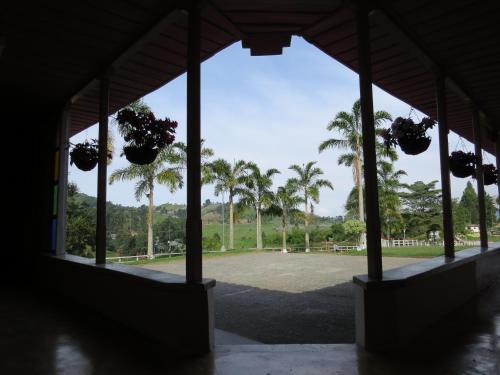 a view of a park with palm trees and plants at Hotel Recreacional Marcelandia Santa Rosa de Cabal in Santa Rosa de Cabal