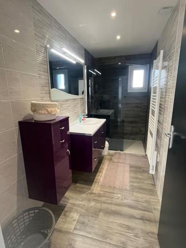 une salle de bain avec un lavabo, des toilettes et un miroir dans l'établissement Villa avec piscine, à Saint-Jean-de-Monts