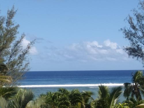 uma vista para o oceano a partir de uma praia com palmeiras em Te Moana Nui Villa 2 em Arorangi