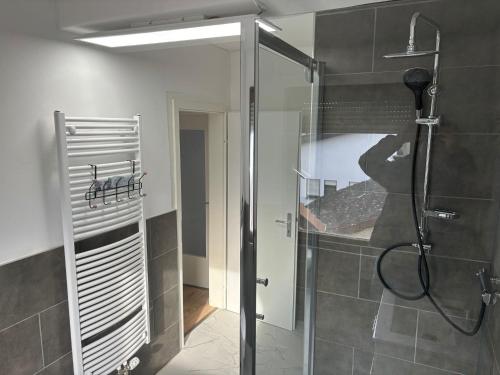 baño con ducha y puerta de cristal en Neu-Isenburg 2 x Zimmerwohnung DG, en Neu Isenburg