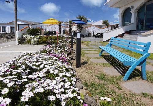 a blue bench sitting next to a bunch of flowers at Pension Haneul Tari in Jeju