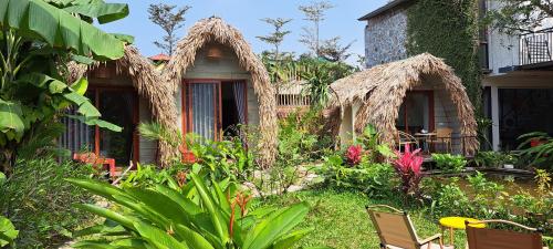 Vườn quanh Amy house