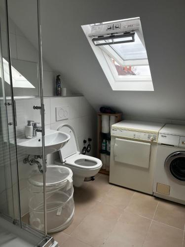 ein Badezimmer mit einem WC, einem Waschbecken und einem Dachfenster in der Unterkunft Studio Apartment Koblenz in Koblenz