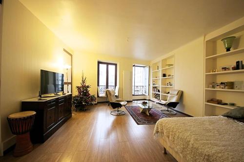 a bedroom with a bed and a television and a christmas tree at Eiffel Tower Paris in Paris