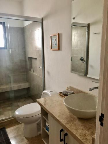 a bathroom with a sink and a toilet and a shower at Fantástico departamento en San Miguel de Allende in San Miguel de Allende