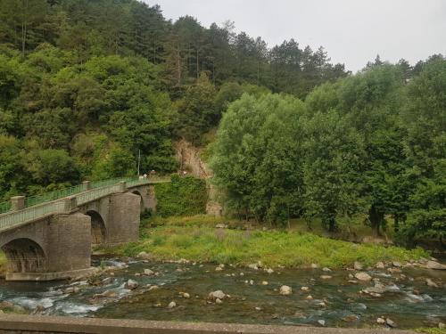 un pont sur une rivière avec des arbres en arrière-plan dans l'établissement Les Pieds dans l'eau, à Avène