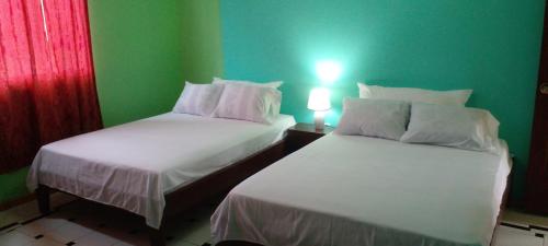 2 camas en una habitación con paredes verdes en Aracari Inn Mindo en Mindo