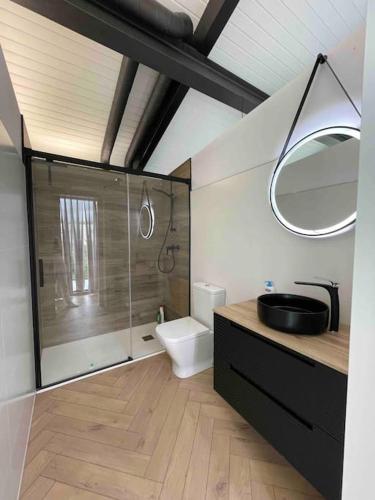 a bathroom with a shower and a toilet and a sink at Casa Albuerne in Gijón