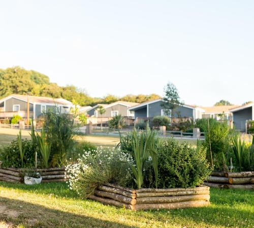 a row of plants in a yard with houses at Domaine Mélusine - à 2km du Puy duFou France ! in Les Épesses