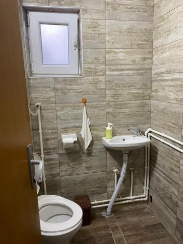a bathroom with a toilet and a sink at Bibex Komplex in Gornje Međurovo