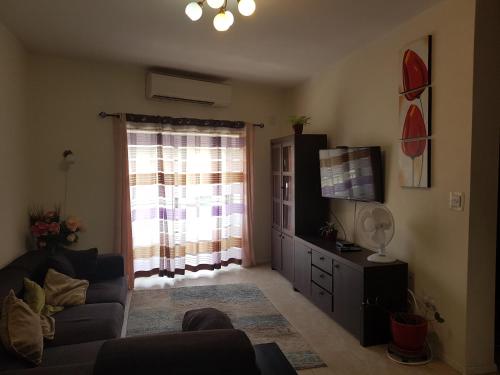 Télévision ou salle de divertissement dans l'établissement Inessa's flat