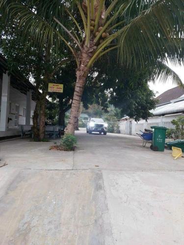 富國的住宿－Nhà Nghỉ Tốt Hơn，停车场内棕榈树下停泊的汽车