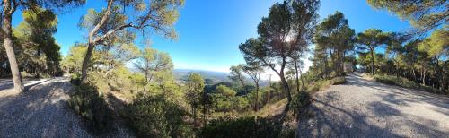 a road with trees on the side of it at Single Room in Ibiza Town