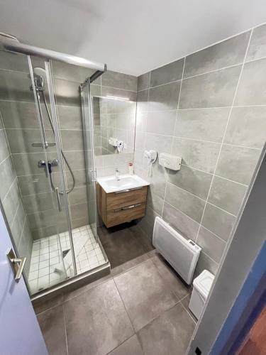 a bathroom with a shower and a sink at Hôtel Du Cheval Blanc in Barcelonnette