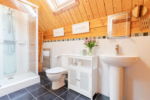a bathroom with a toilet and a sink and a shower at Hillview in Little Petherick
