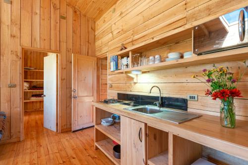 a kitchen with wooden walls and a counter with a sink at Cabaña Eco Loft Chiloe Chonchi in Chonchi