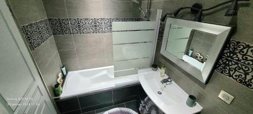 a small bathroom with a sink and a mirror at L'Harmonie de Naya, confort , parking privé in Bourges