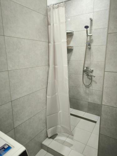 トビリシにあるTbilisi Central Apartmentのガラスドア付きのシャワー付きのバスルーム