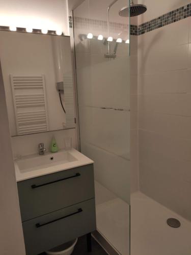 een witte badkamer met een wastafel en een douche bij Très beau studio quartier Cathédrale bord de Loire in Tours