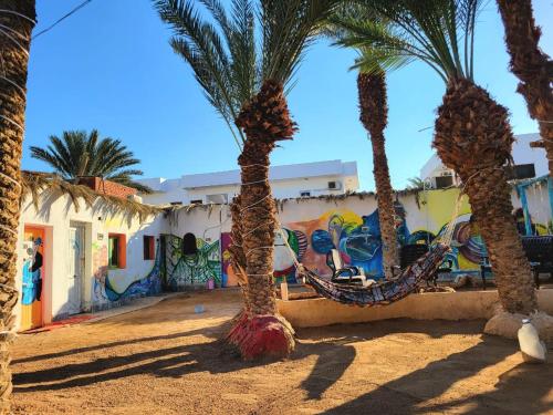 a group of palm trees in front of a building with graffiti at Badya Camp Dahab in Dahab