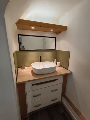 une salle de bain avec un lavabo et un miroir dans l'établissement La Vallée Appartement Proche du Mont Saint Michel, à Roz-sur-Couesnon