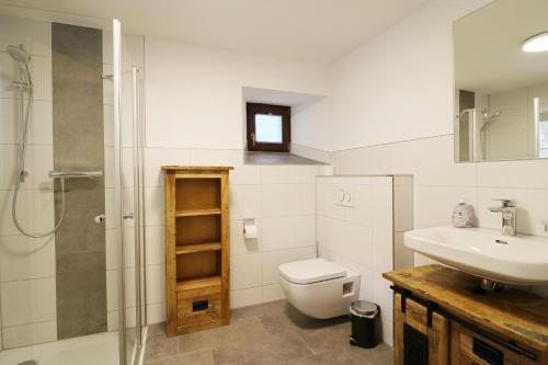 a bathroom with a toilet and a sink and a shower at Tannenhof Fischbach - Fewo 1 "Felchen" - Schluchsee, 2 Schlafzimmer in Schluchsee