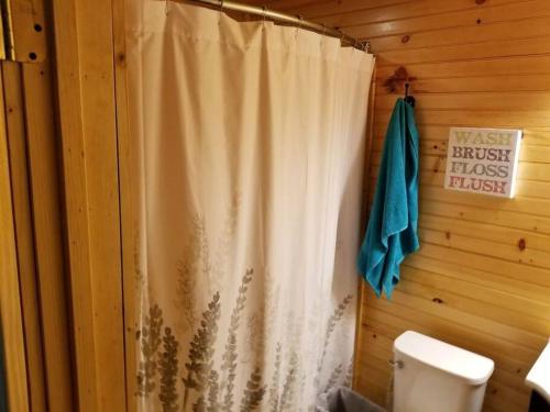 łazienka z zasłoną prysznicową i toaletą w obiekcie Waterwheel Cabin by the Creek w mieście Murphy
