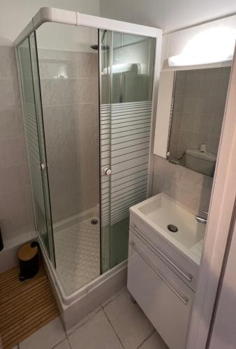 une salle de bain avec une douche en verre et un lavabo dans l'établissement Charmant logement entre mer et montagne idéal pour cure thermale, à Amélie-les-Bains-Palalda