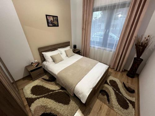 1 dormitorio con cama y ventana con alfombra en D&M APARTMENTS 1, en Satu Mare