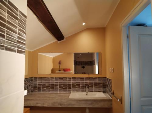 une salle de bain avec un lavabo et un miroir dans l'établissement Lucinkas, à La Tour-sur-Orb