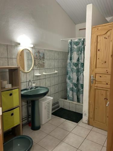 Un baño con lavabo, espejo y ducha. en Cloison du BONHEUR, en Le Lamentin