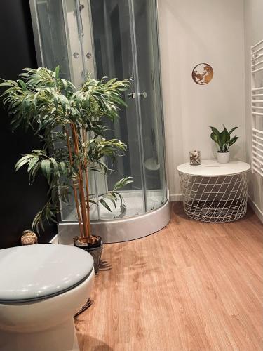 La salle de bains est pourvue d'une douche, de toilettes et de plantes. dans l'établissement Love room - love&cocon, à Fontenille-Saint-Martin-d'Entraigues