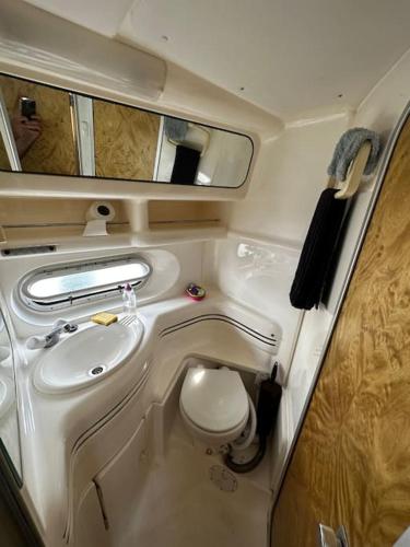 a small bathroom with a toilet and a sink at Le Grand Bleu - idéal Festival de Cannes in Cannes