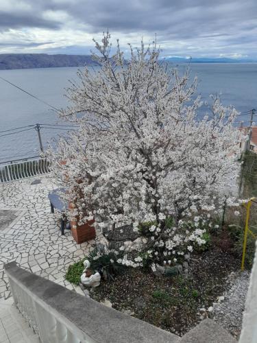 Φυσικό τοπίο κοντά σε αυτός ο ξενώνας