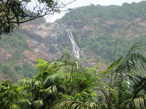 a waterfall on the side of a mountain at Dudhsagar Plantation in Cormonem