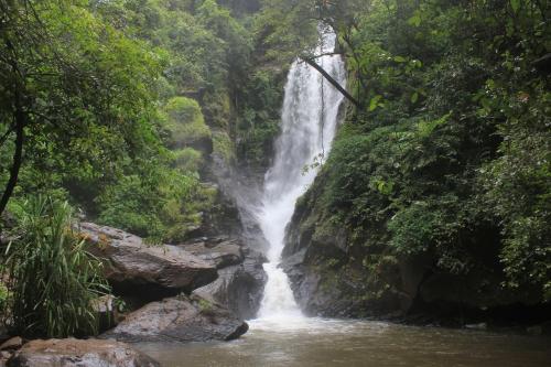 a waterfall in the middle of a river at Dudhsagar Plantation in Cormonem