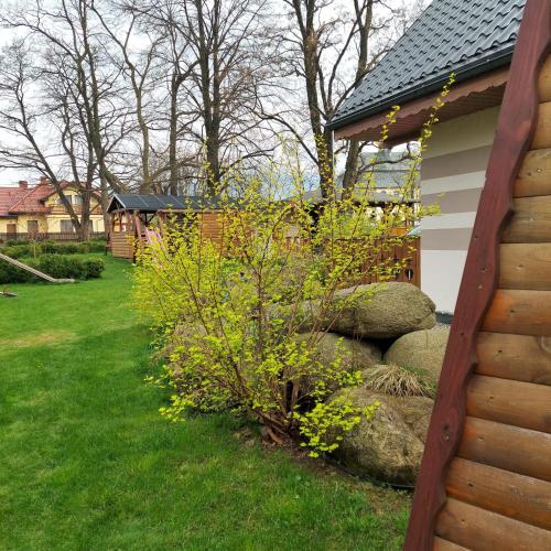 a yard with a fence and a bush next to a house at Domki u Justyny Podgórzyn Karpacz Sosnówka in Podgórzyn