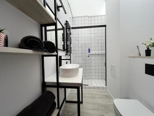 a bathroom with a sink and a toilet and a shower at Łazienki Krolewskie Studio z Antresolą i widokiem in Warsaw