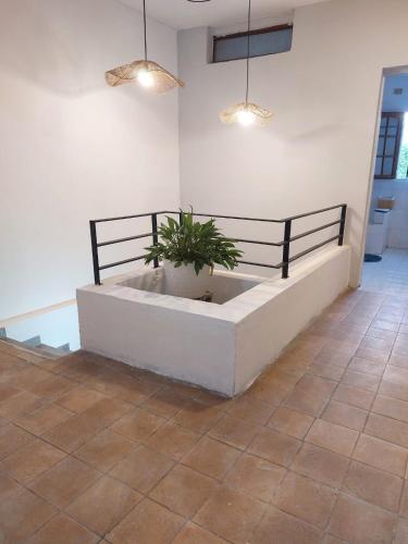una planta en una olla en una habitación en Linas Apart & Suite en La Rioja